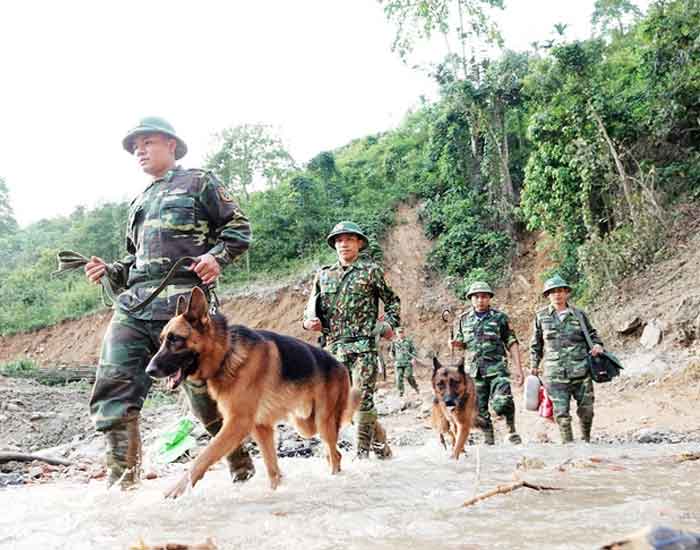 Nhưng chú chó nghiệp vụ là vũ khí đặc biệt của lực lượng biên phòng